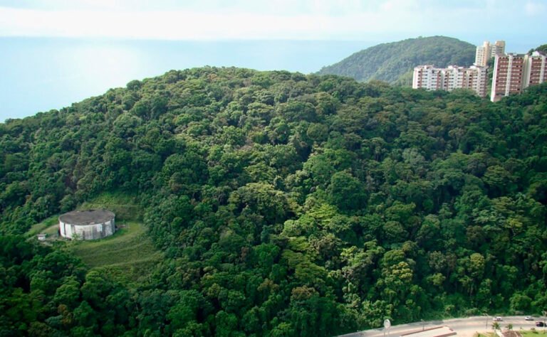 APA-Guaruja-Foto-IPT-1