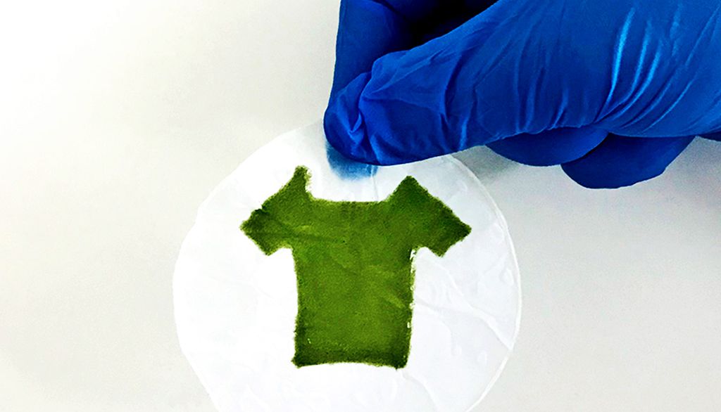 Tecido de alga