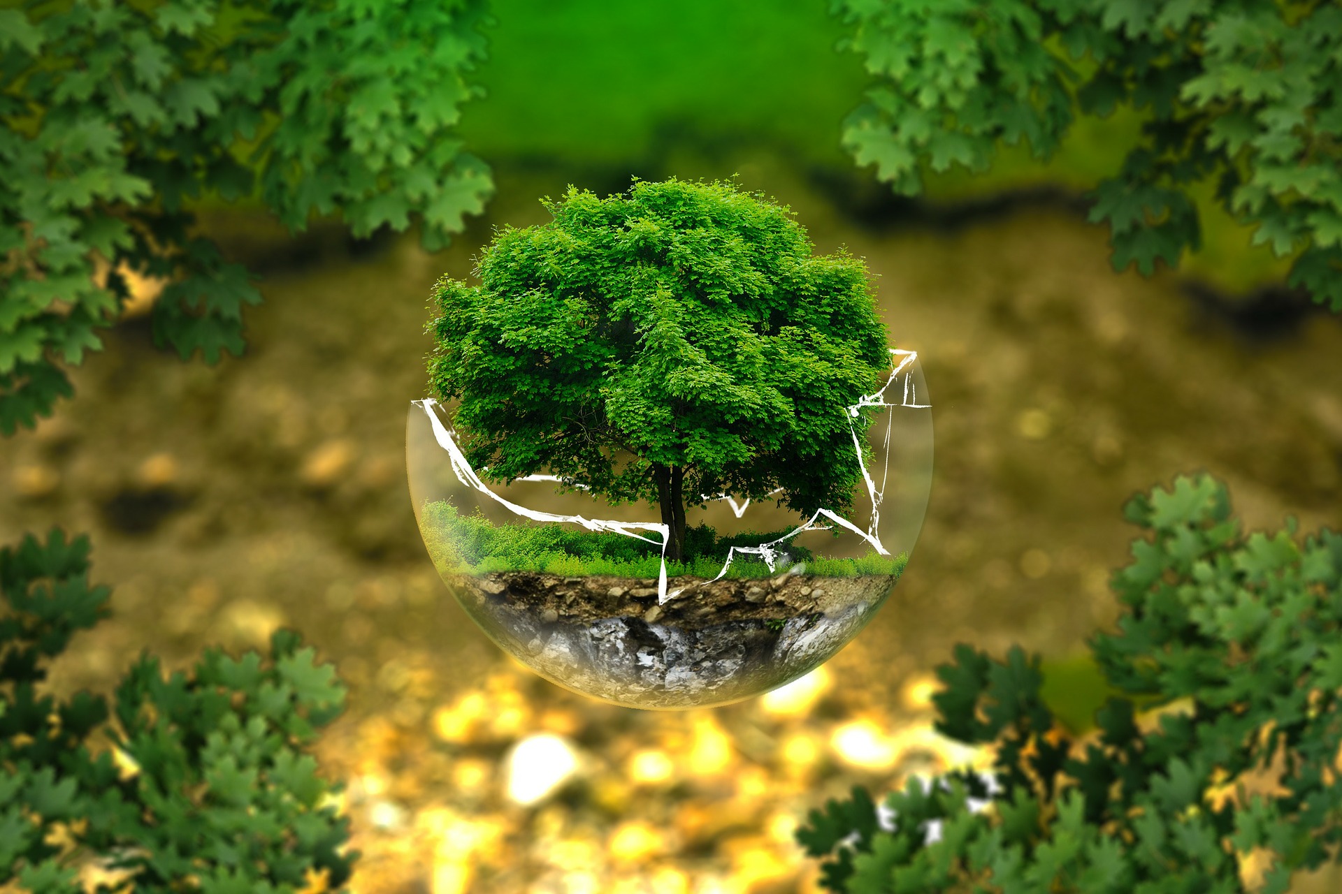 environmental-protection-g80440e71b_1920