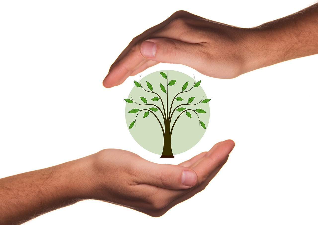 SOCIOAMBIENTAL